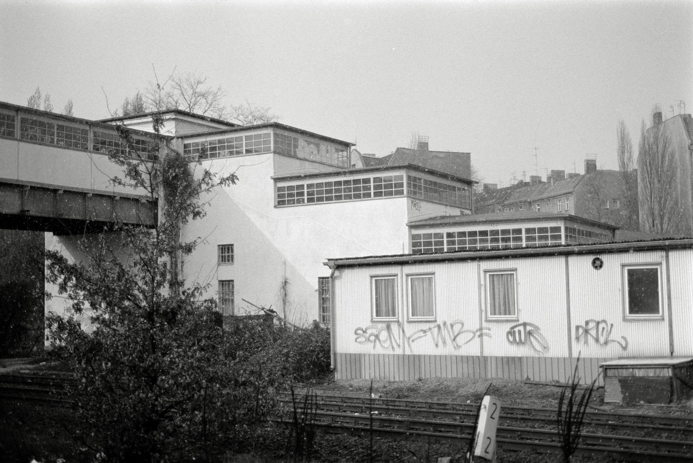 AHP F1993 03 005 sc240902 img04 NLP